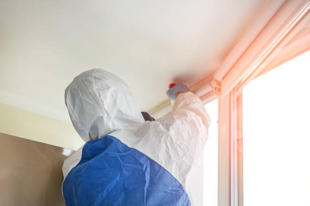 Reliable Falmouth, VA Mold Removal Solutions